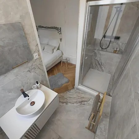 Apartman Le Royal Dijonnais - Centre *
