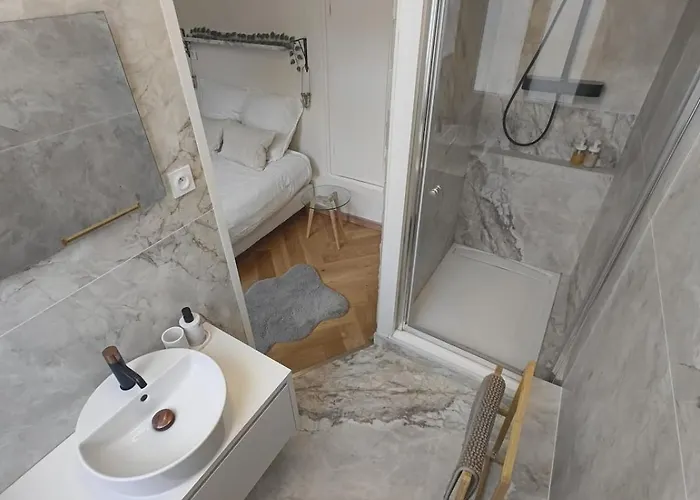 Appartement Le Royal Dijonnais - Centre *