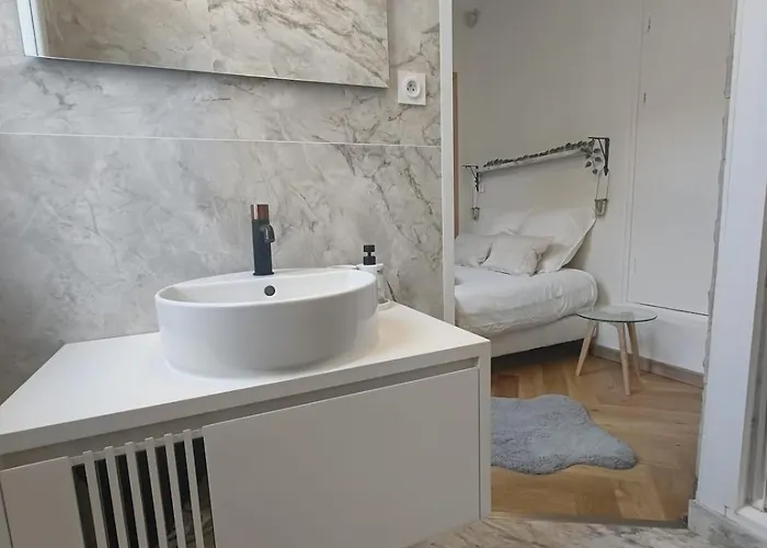 Le Royal Dijonnais - Centre Appartement