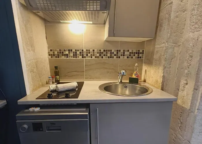 Le Royal Dijonnais - Centre * Digione