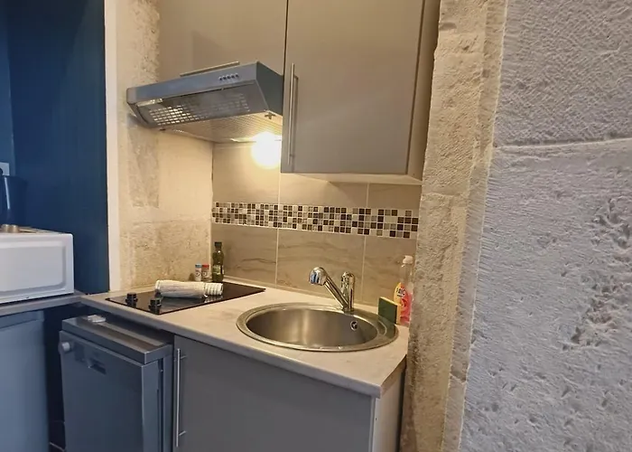 Apartament Le Royal Dijonnais - Centre